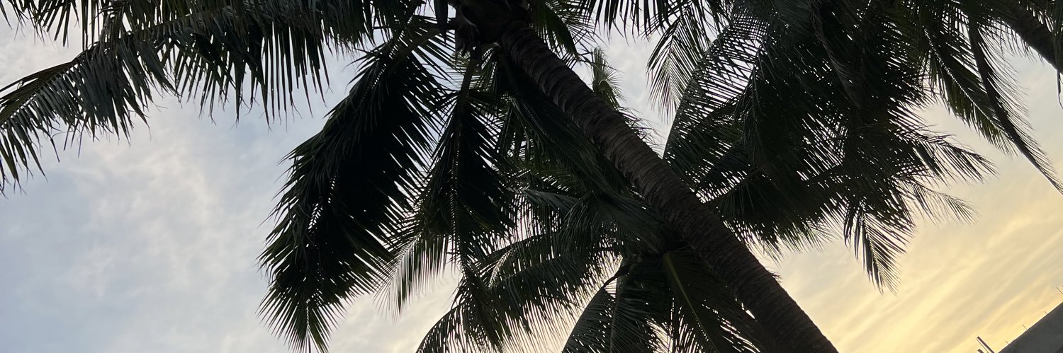 Ericka•AXIE banner