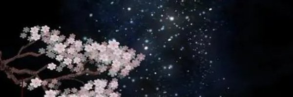 0x24yyy1 Profile Banner