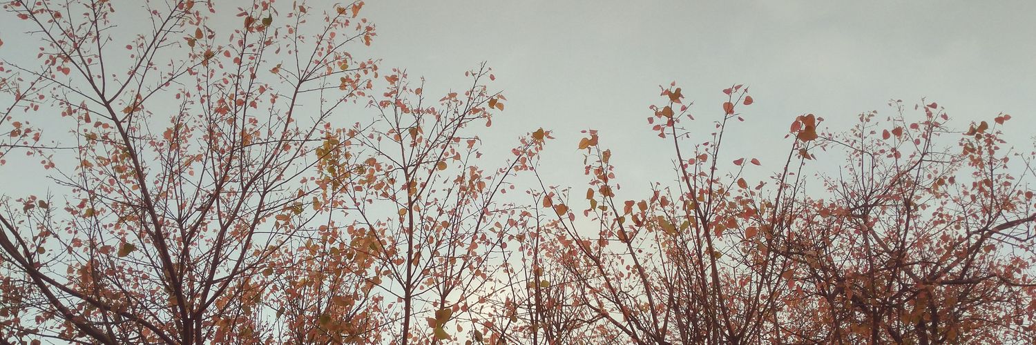 vnavya97's profile banner image