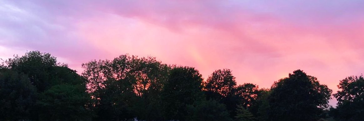 joshywillacy's profile banner image