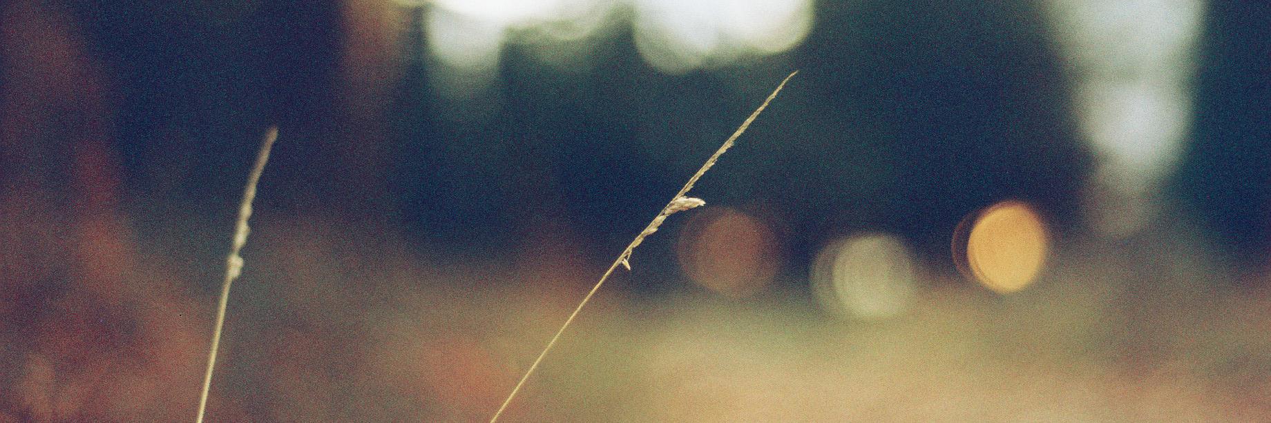 EloyArizaPhoto's profile banner image