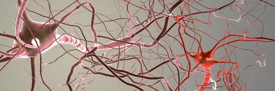 LifeScienceCom's profile banner image