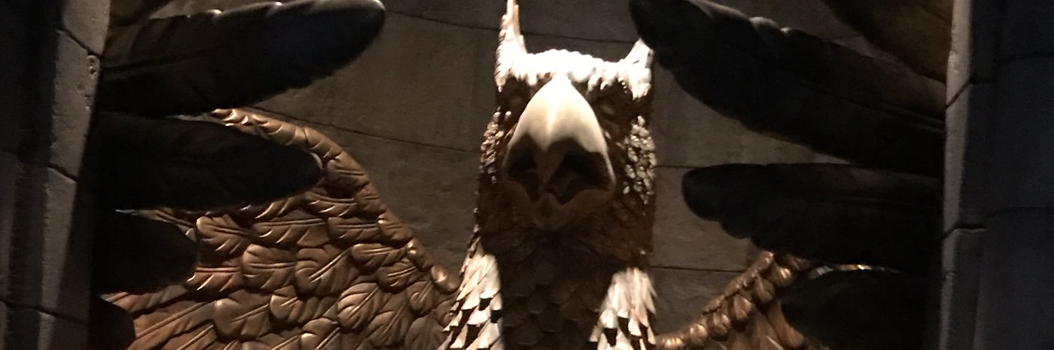 mianerid's profile banner image