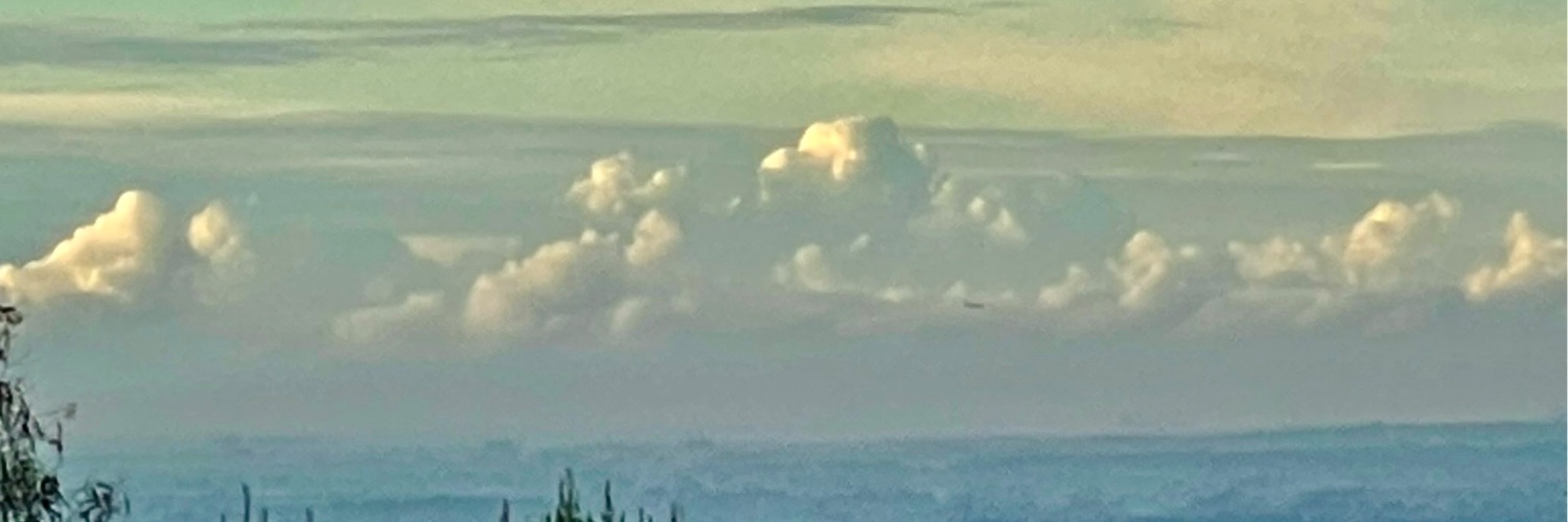 fschnereger's profile banner image