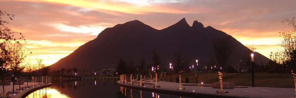 Guillermo Garza García banner