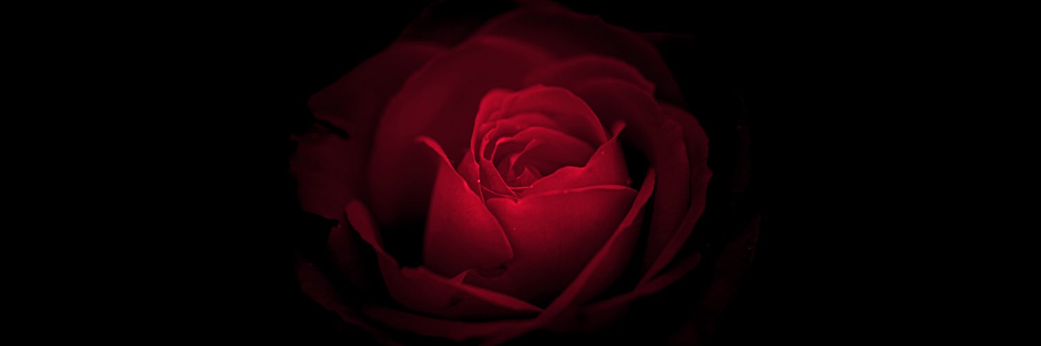❆ ℕ𝕒𝕕𝕚𝕟 ❆ banner