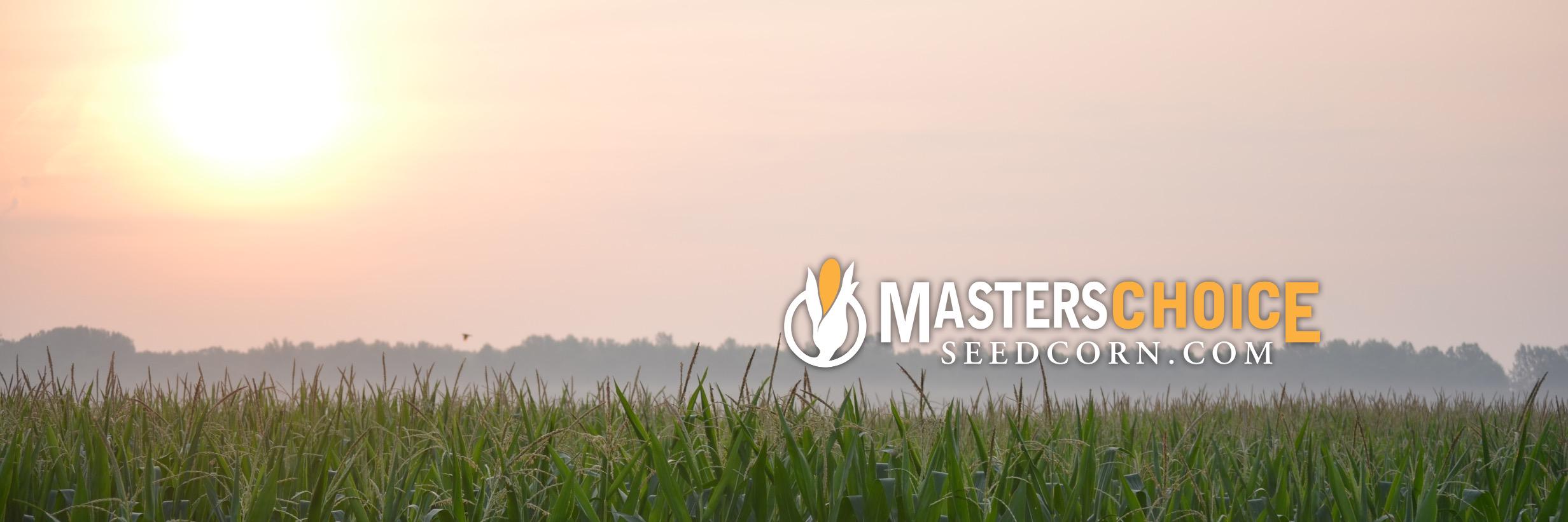 MC_Seedcorn's profile banner image