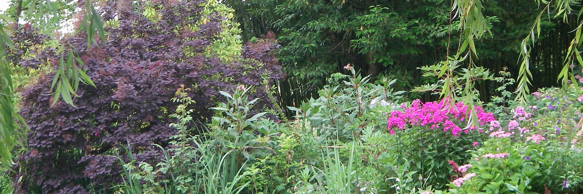 mcwathbird's profile banner image