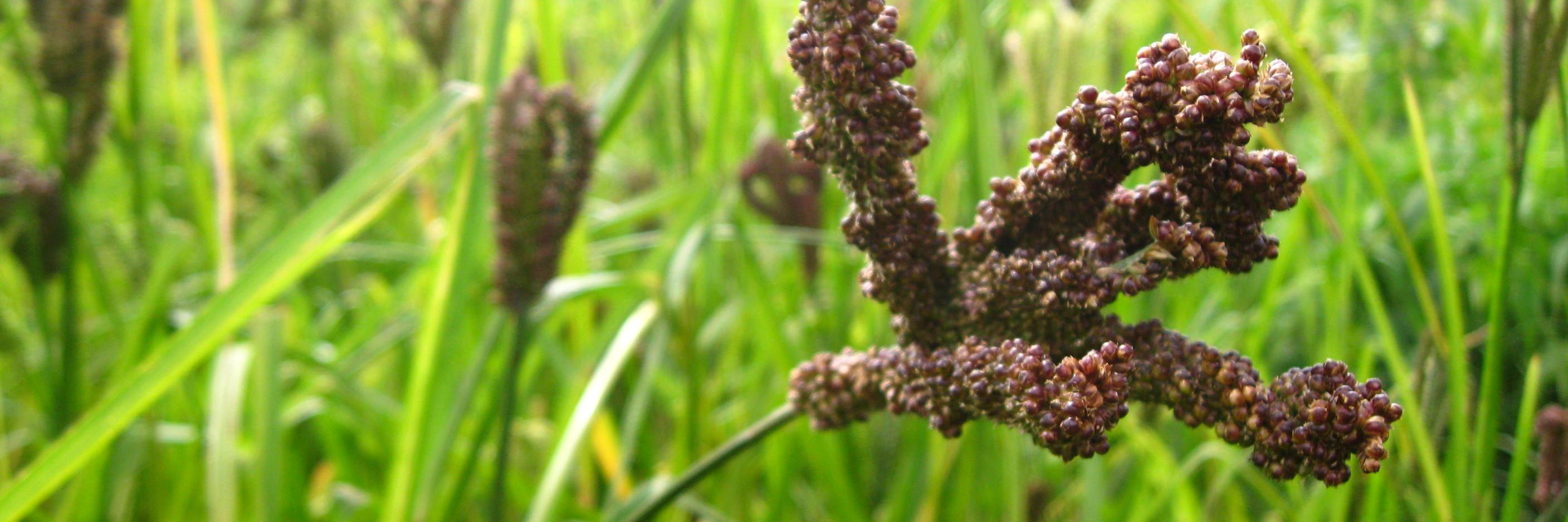 Econ That Matters banner