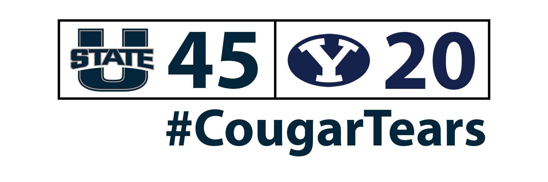 cougartears's profile banner image