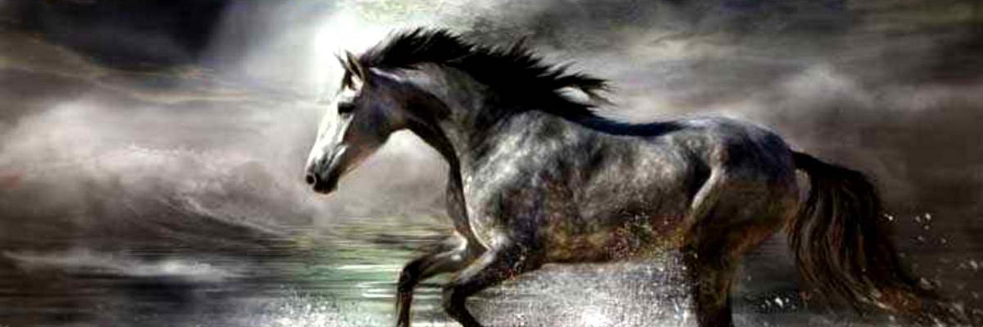 katroulini's profile banner image