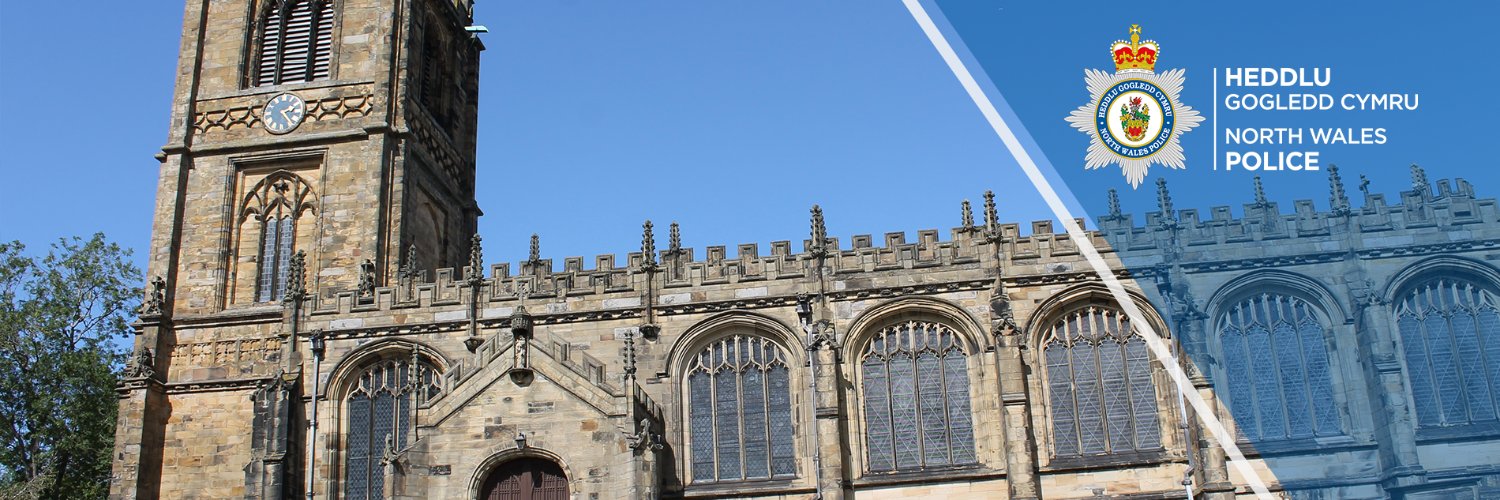 NWP South Flintshire banner