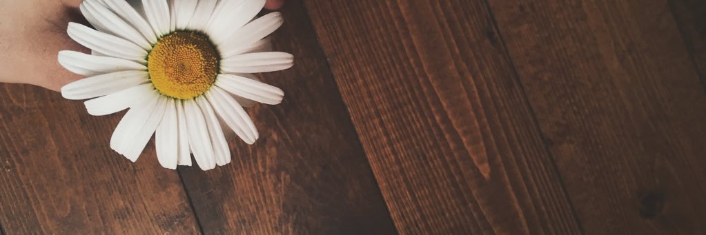 KatieGraceWrite's profile banner image