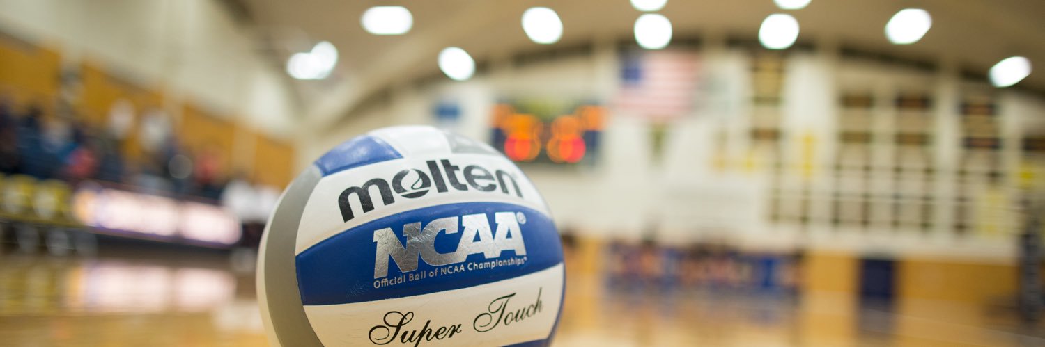 Carleton Volleyball banner