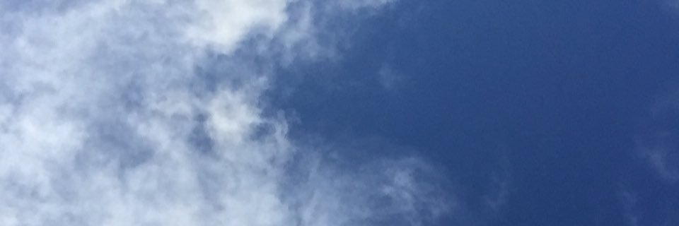 BergamoteBF's profile banner image