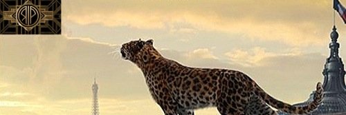 RugidoUady's profile banner image