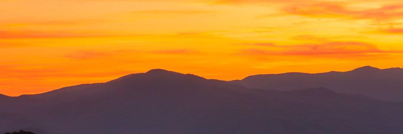 Walker962J's profile banner image