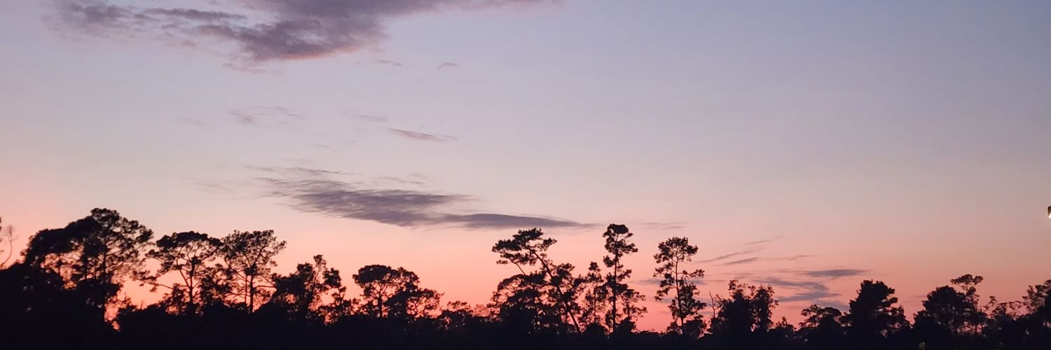Gabriel Mora banner