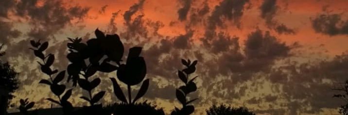 celemartin33's profile banner image