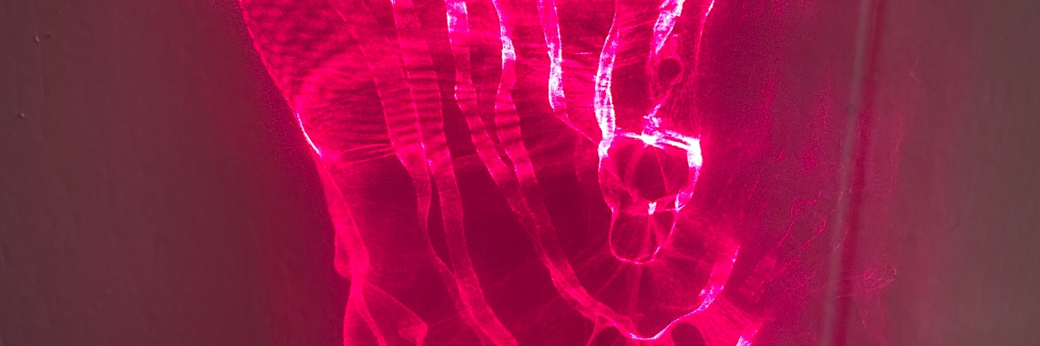 Luke Amstrong banner