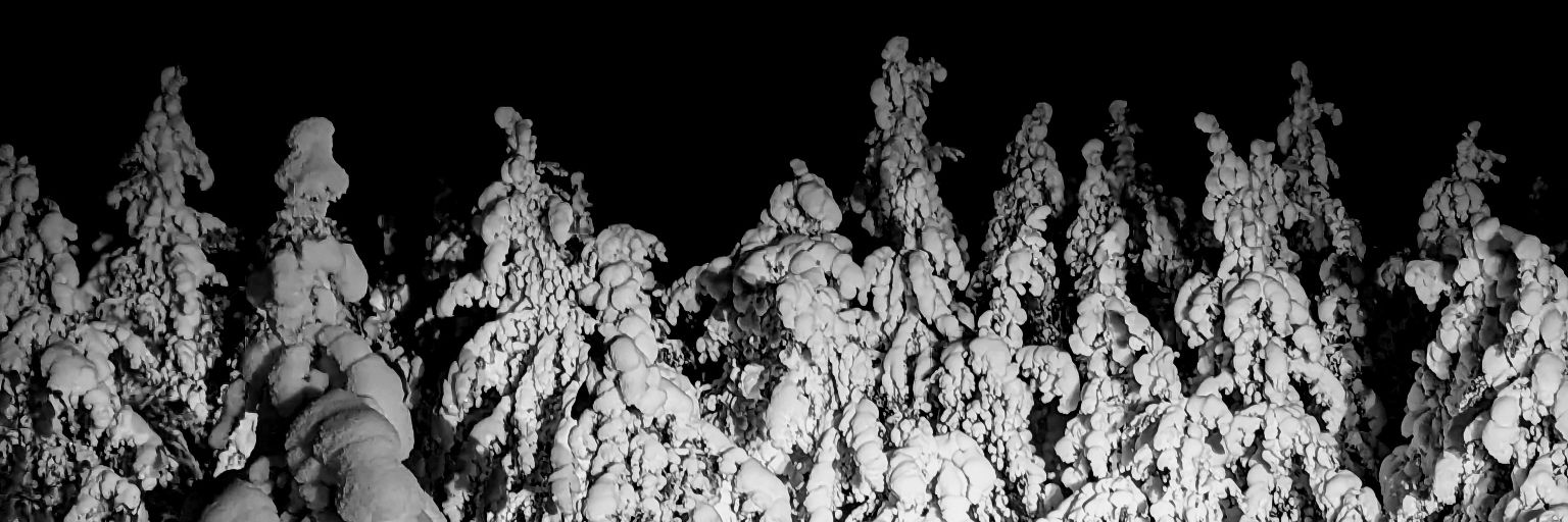 CreeX5's profile banner image