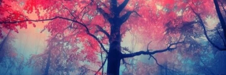_Kvh17's profile banner image