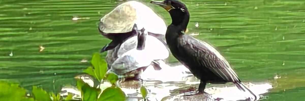 JavierDumas's profile banner image