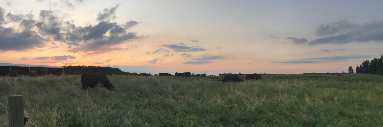 beckisjohnson's profile banner image
