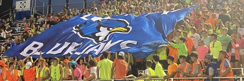 LHS Practical Leadership banner