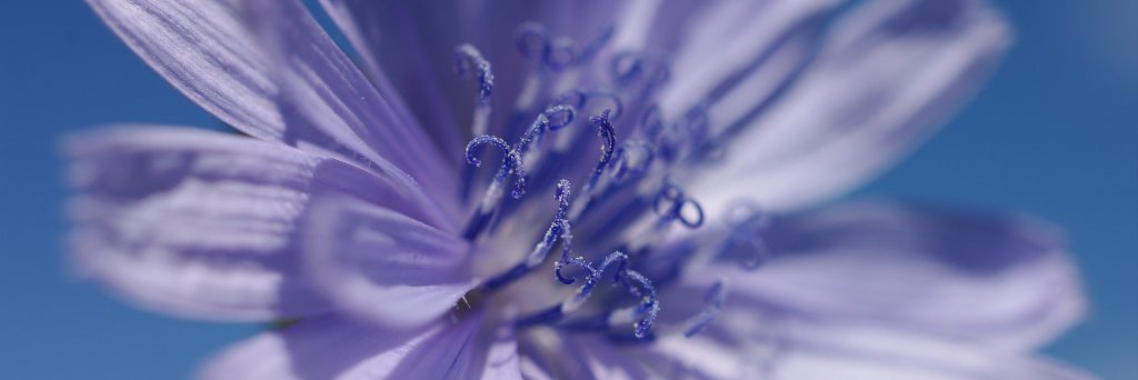 Heather Cray 🌱 banner