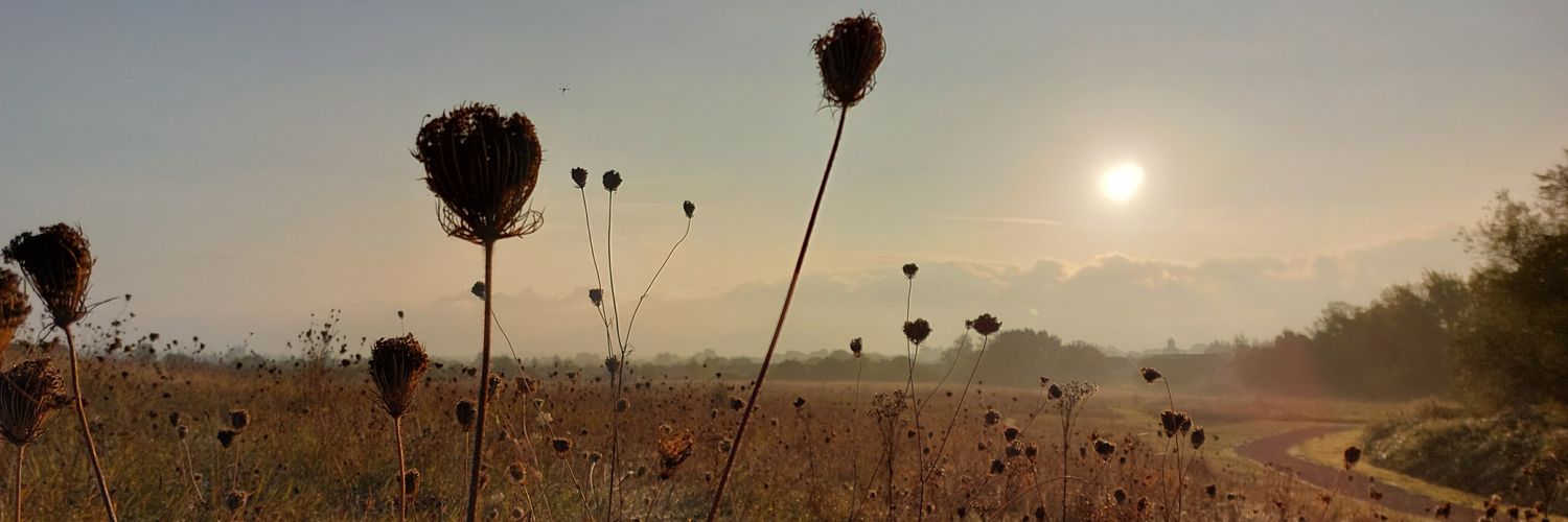 Rachel Fry banner