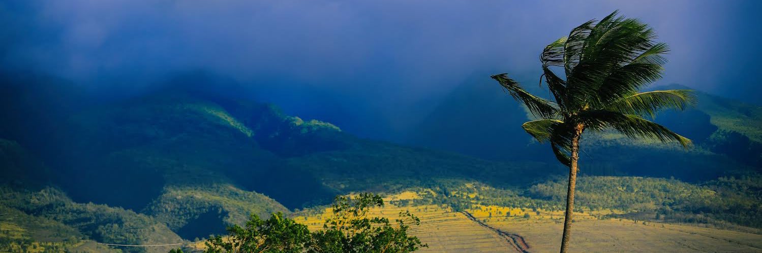 Cinematographer/Photographer banner