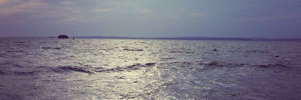 Alexsalmon Profile Banner