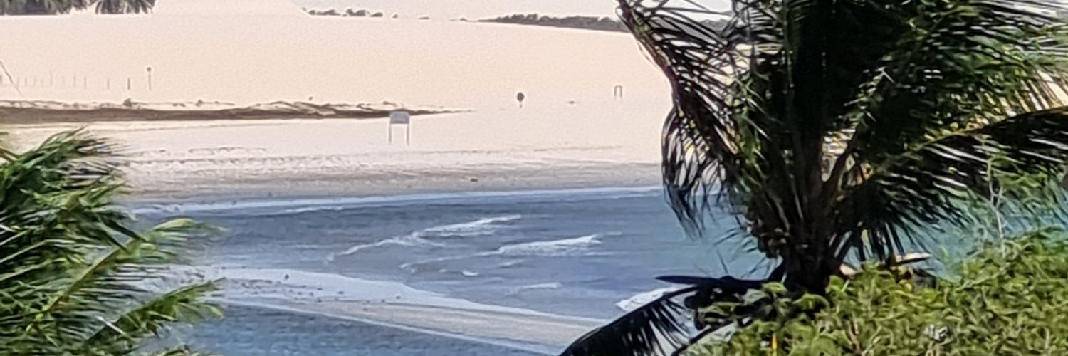 🤍❤️🤍𝕲𝖗𝖆ciela 🤍❤️🤍 banner