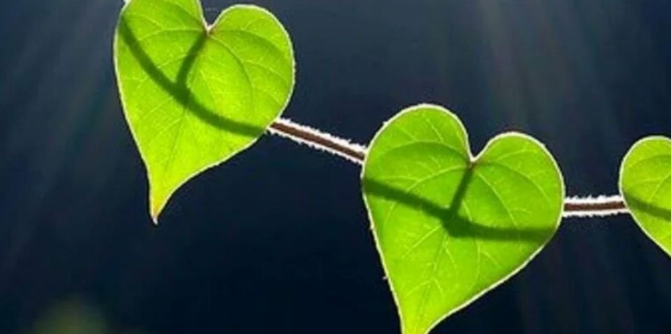 ras_ool's profile banner image