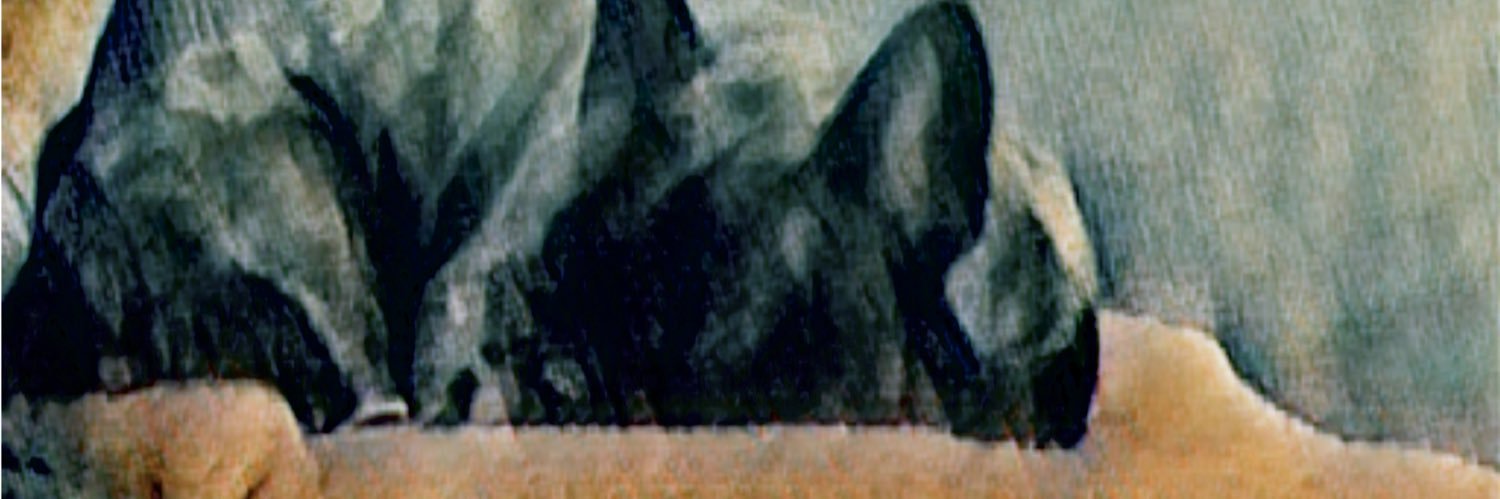TramosTravis's profile banner image