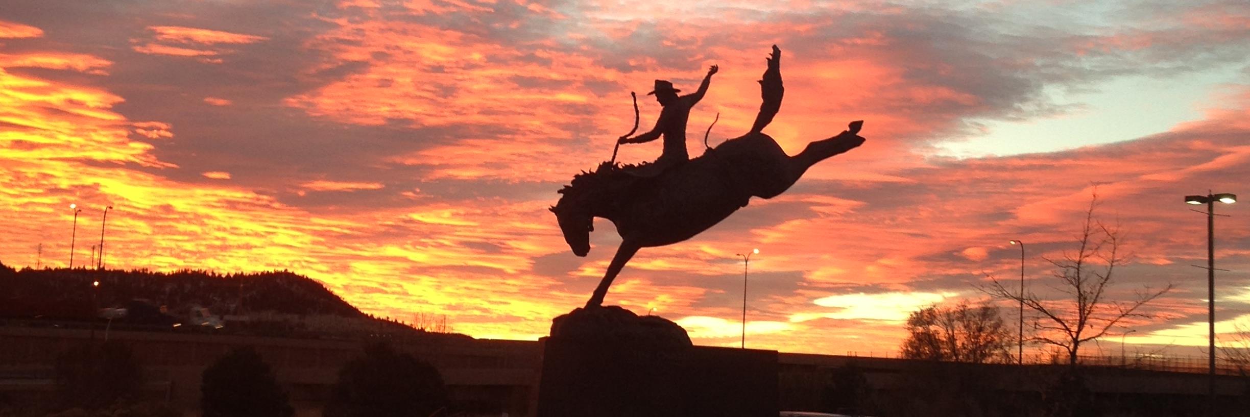 ProRodeoHallofFame banner