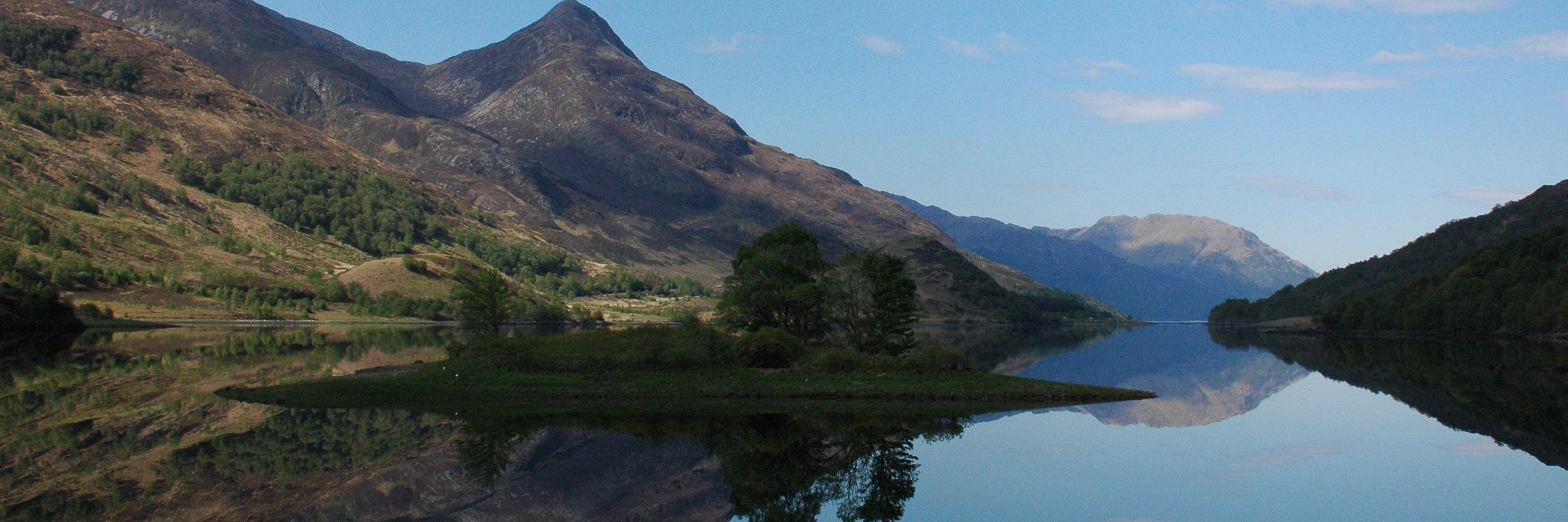 Elena Serrano banner