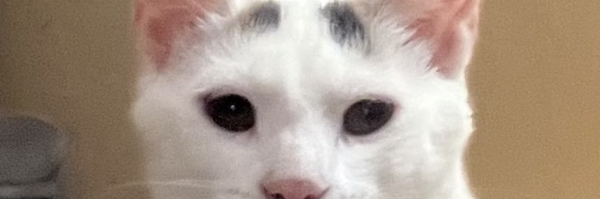 salemezzo's profile banner image