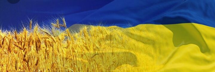 nikolka08's profile banner image