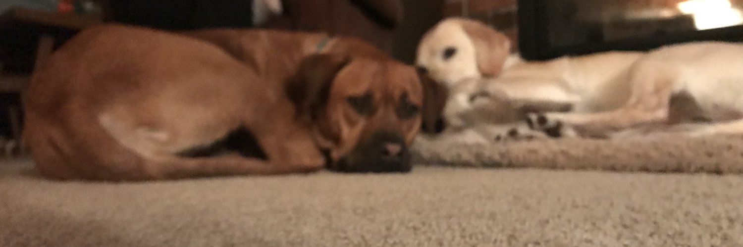 Sleeevees's profile banner image