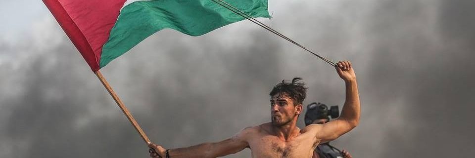 alexpontt's profile banner image
