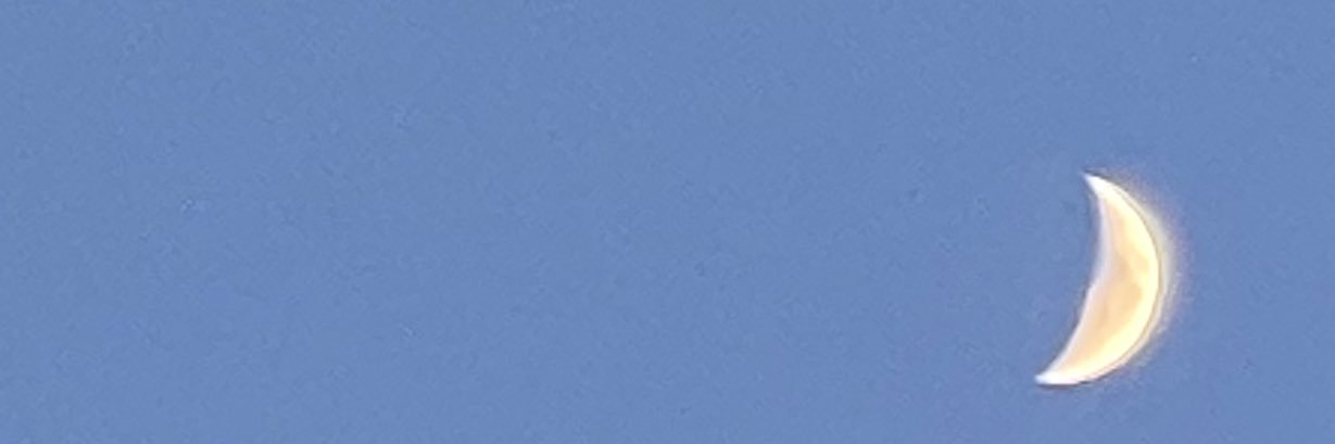dimespi's profile banner image