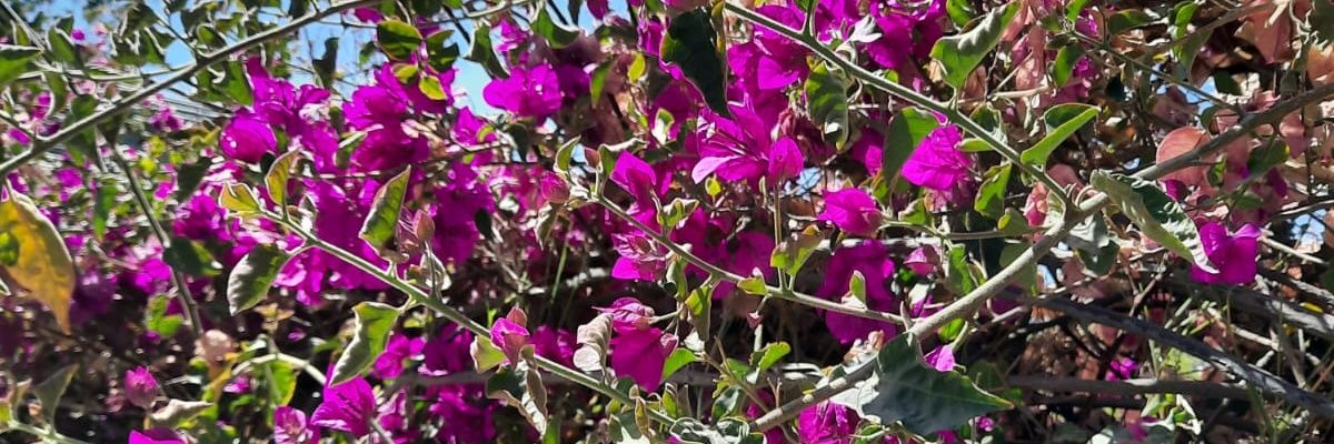 MilyRivas6's profile banner image