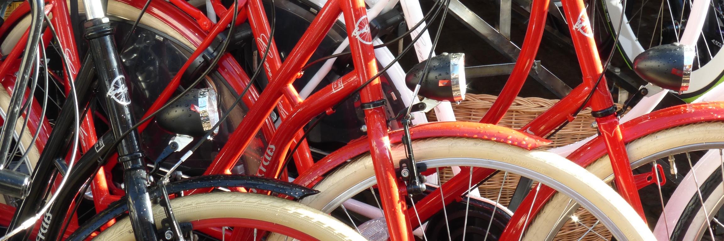 camcyclesmith's profile banner image