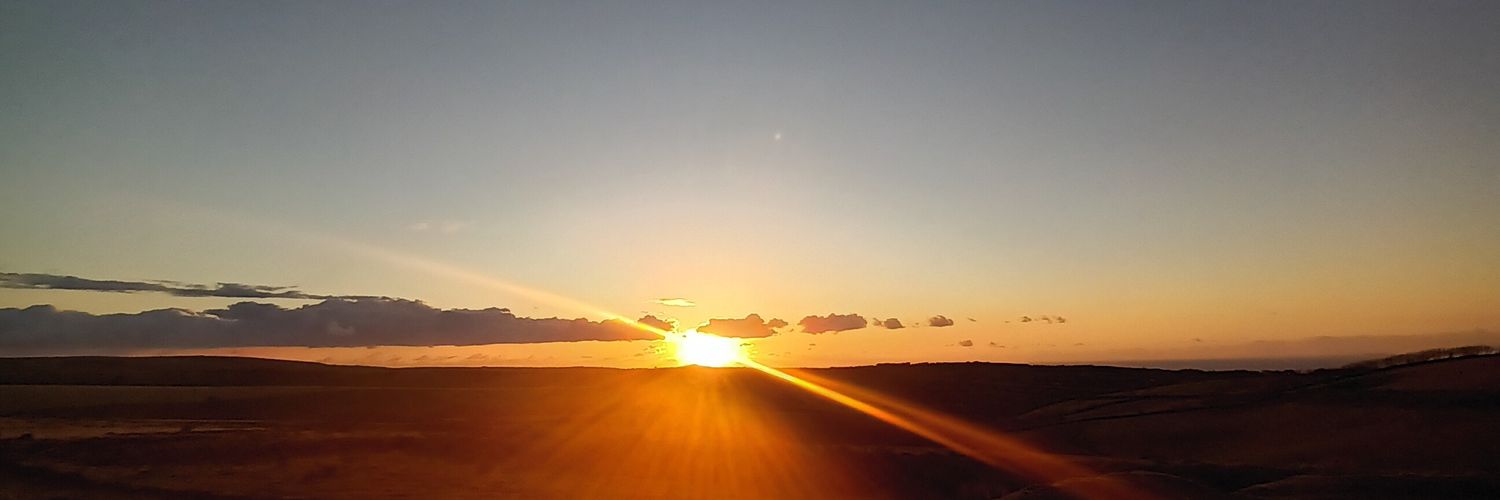 punkypye's profile banner image