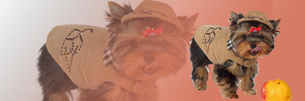БыльБылева's banner