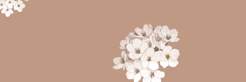 urdunniah's profile banner image