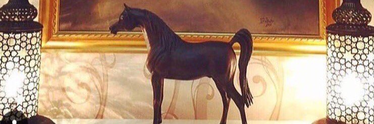saltan510's profile banner image