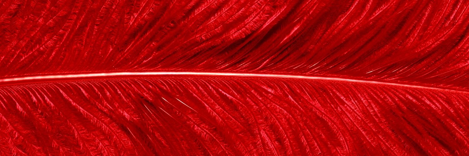 darialr's profile banner image
